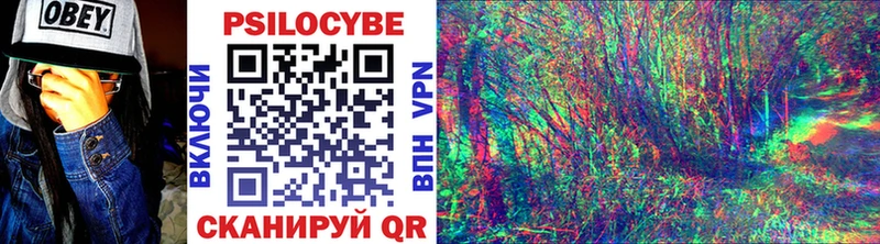 Псилоцибиновые грибы мицелий  Купить где  Трубчевск 